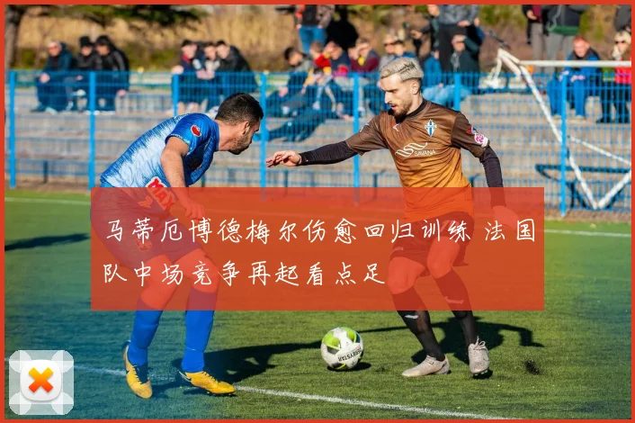 马蒂厄博德梅尔伤愈回归训练 法国队中场竞争再起看点足