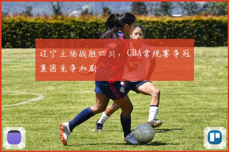 辽宁主场战胜四川，CBA常规赛争冠集团竞争加剧