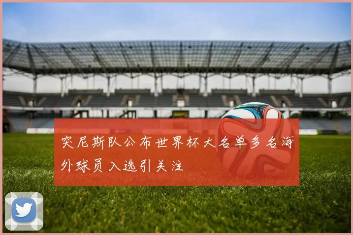 突尼斯队公布世界杯大名单多名海外球员入选引关注