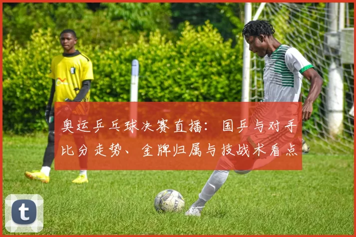 奥运乒乓球决赛直播：国乒与对手比分走势、金牌归属与技战术看点
