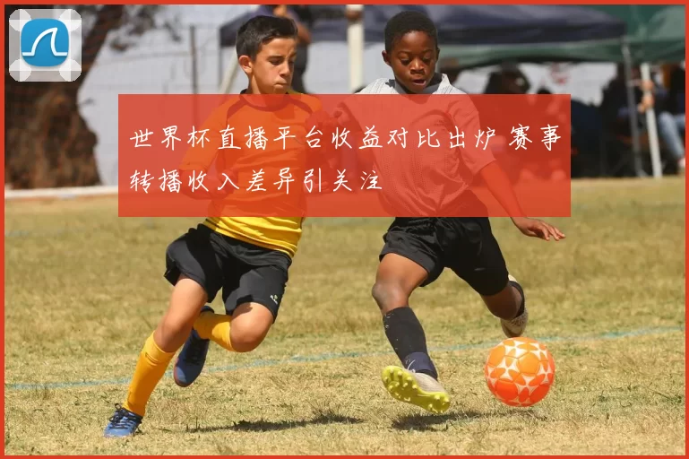 世界杯直播平台收益对比出炉 赛事转播收入差异引关注