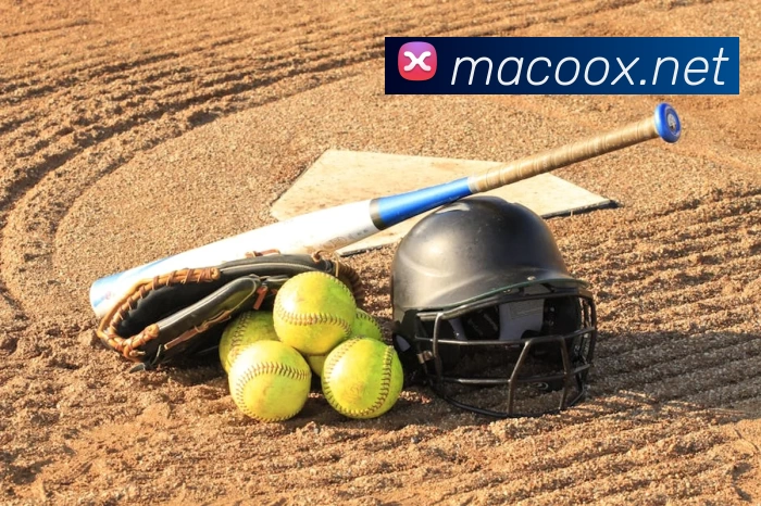 星空体育平台综合登录平台生态图